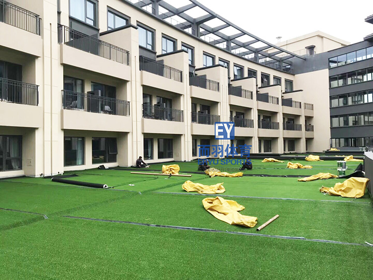 �����ƺ����