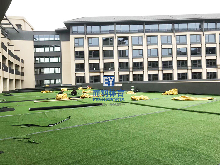 �����ƺ����