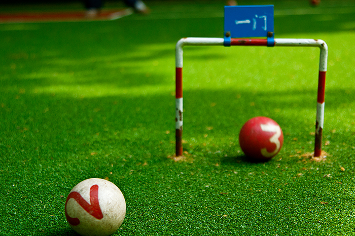 ���������ƺ