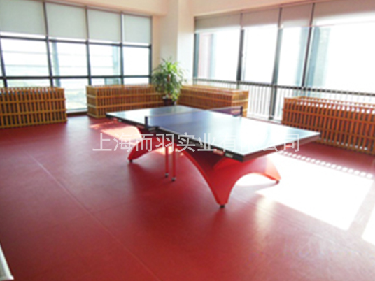 ƹ������