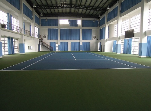 ��ϩ������