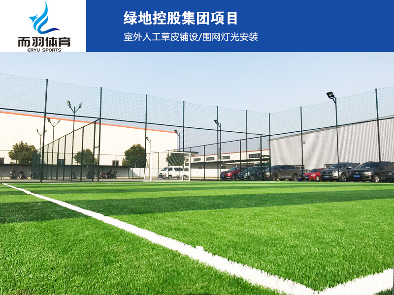 �˹���ƺ����