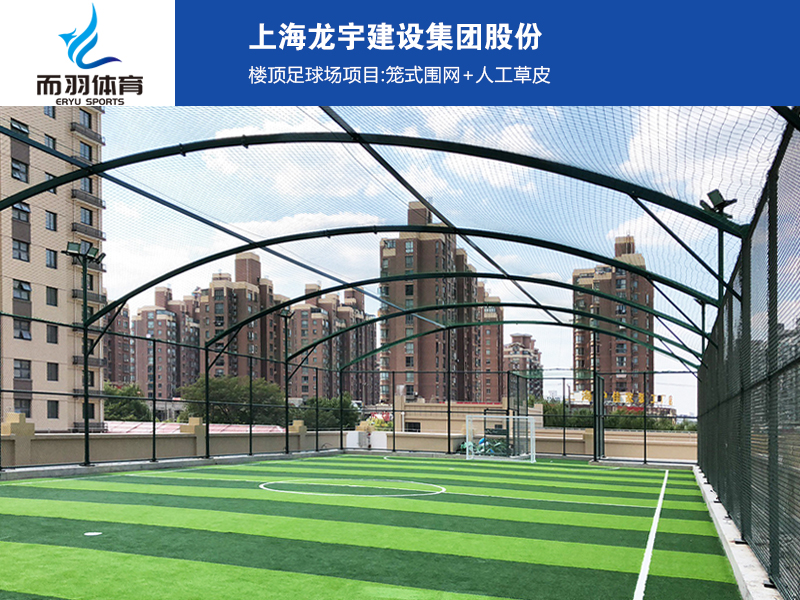 �����ƺ����