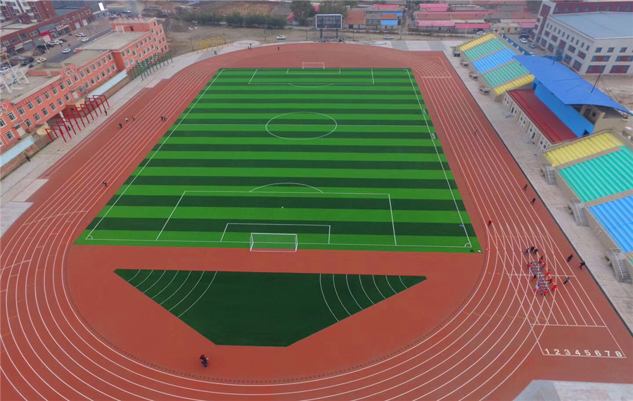 �����ƺ����