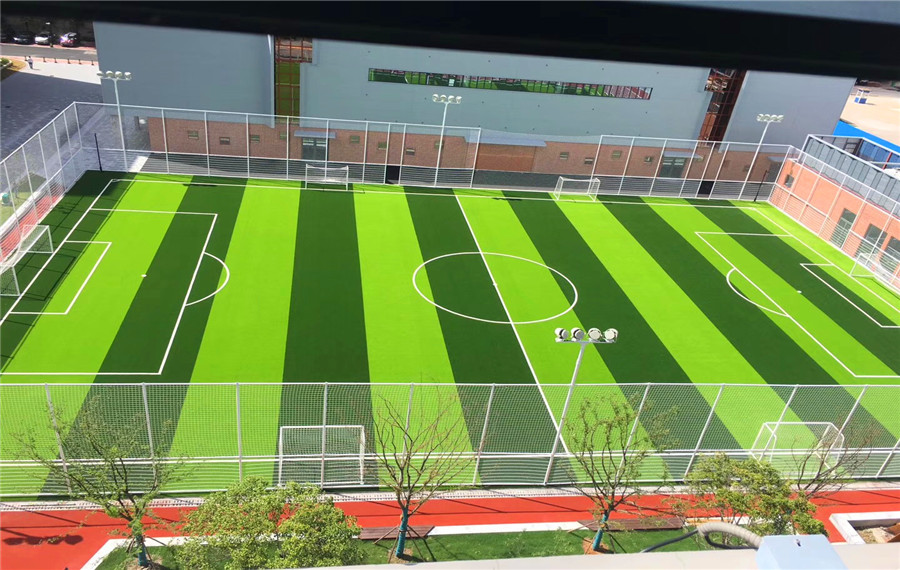 �����ƺ����