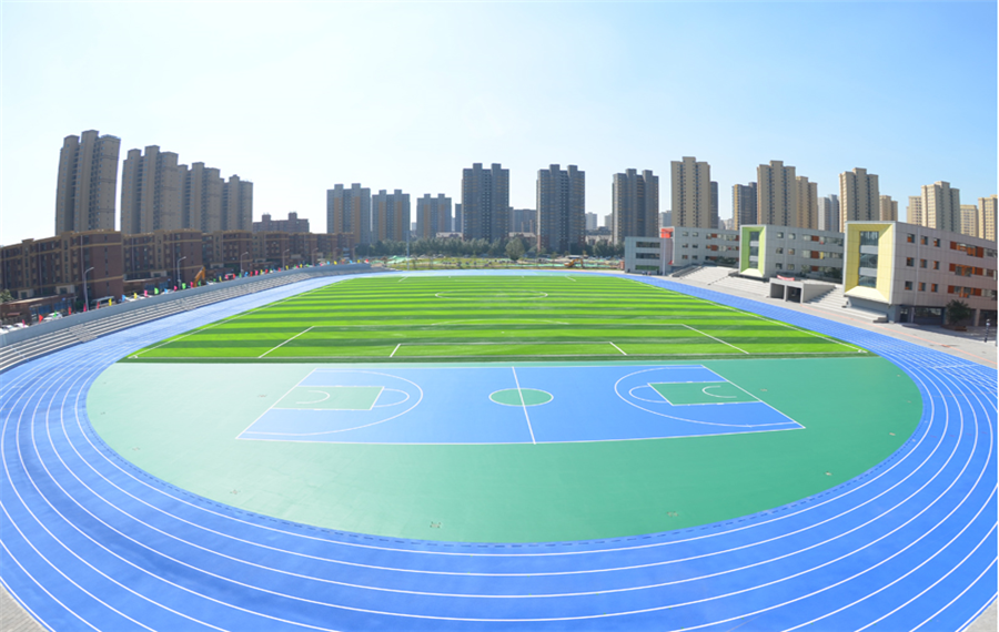 �����ƺ����