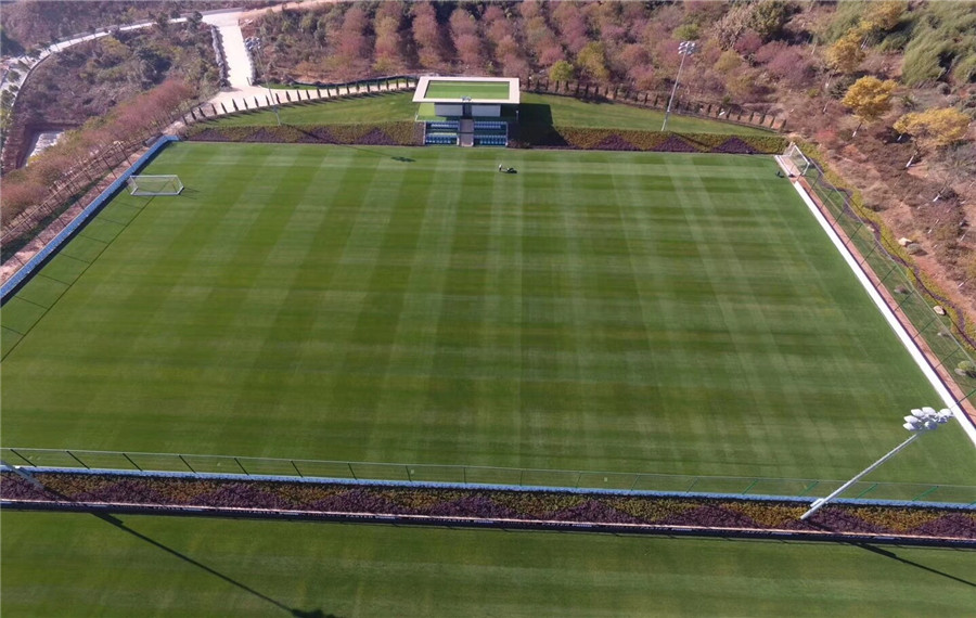 �����ƺ����