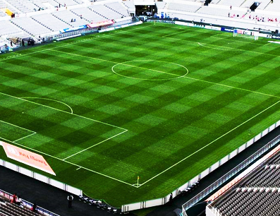 �����ƺ����